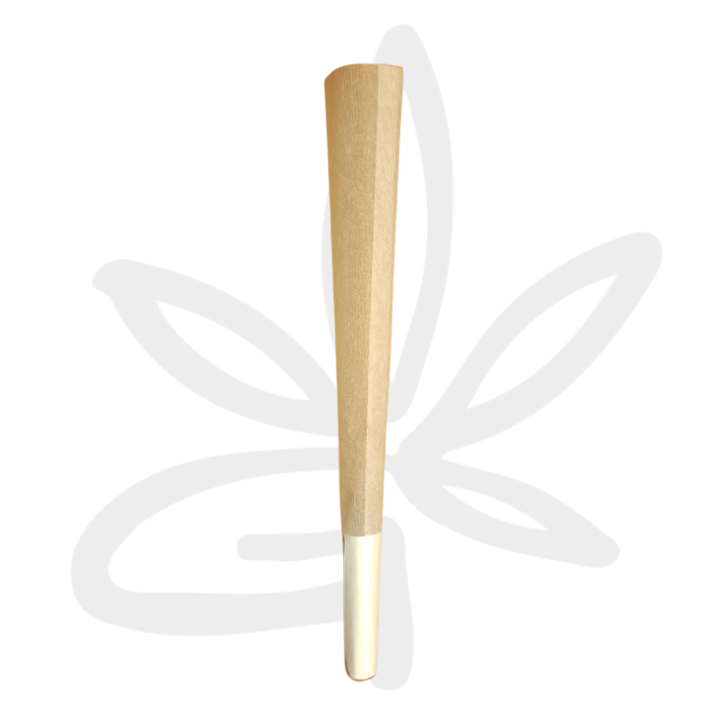 Cone Pre Roule Blanchi Zetla