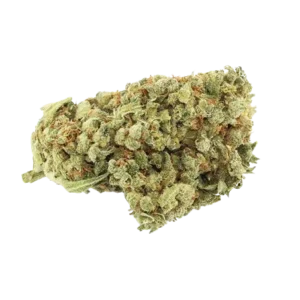 Jack Herer Strain​