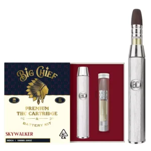 Puff Big Chief Jetable Nomade
