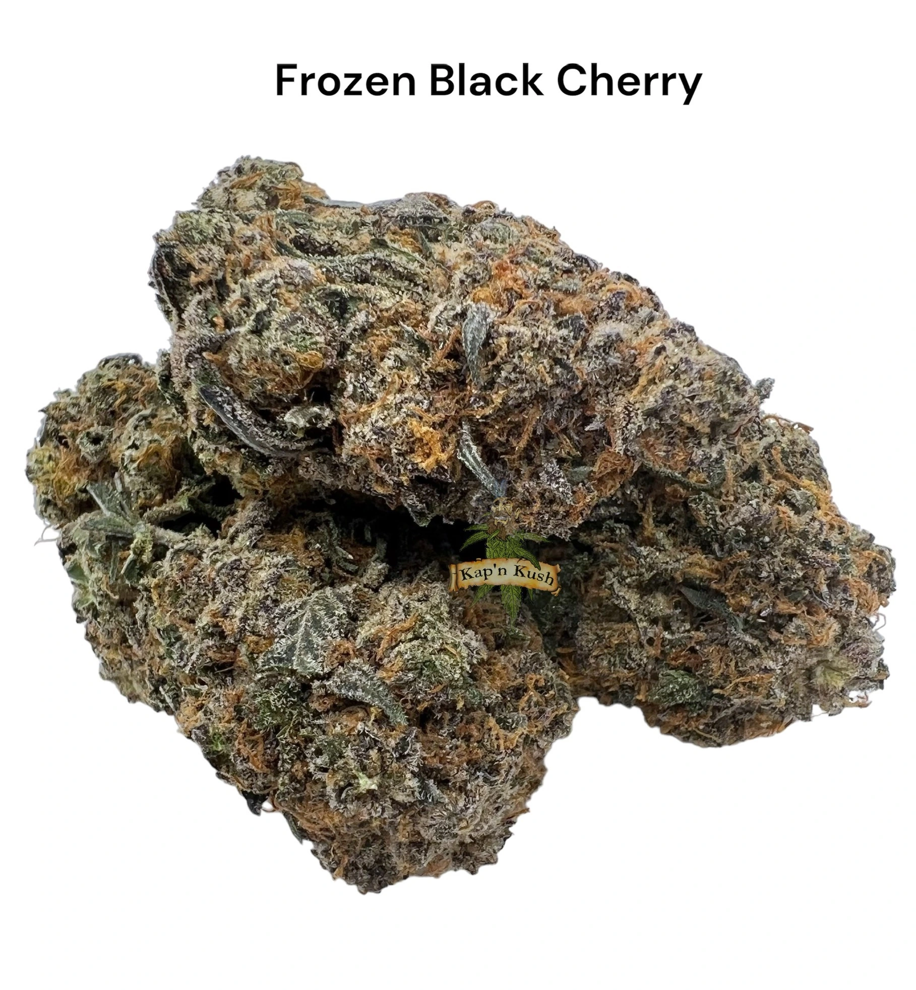 frozen black cherry | Backpackboyz