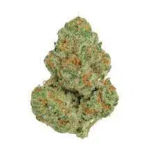 Fleur Gorilla Glue Indica Puissante