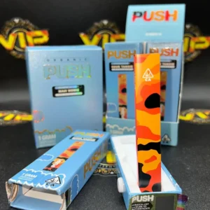Puff Push Jetable Sativa