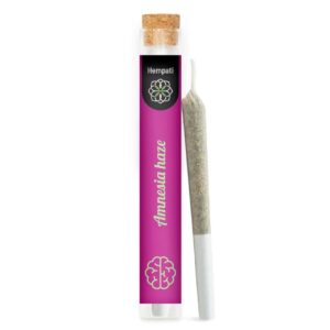Amnesia Haze Pre Roll Joint
