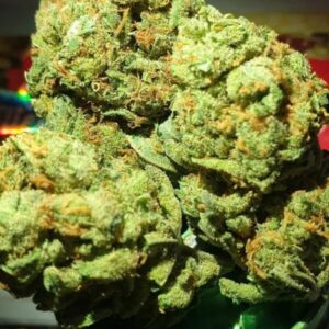 Fleur THC Amnesia Haze Sativa