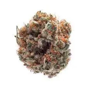 Bio-Jesus Cannabis Strain