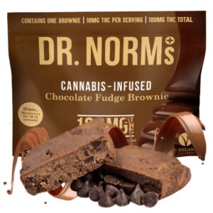 Vegan Chocolate Fudge Brownie